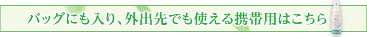 バッグにも入り、外出先でも使える携帯用も