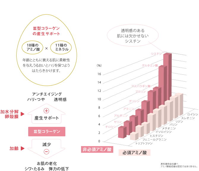 加水分解卵殻膜エキスとは